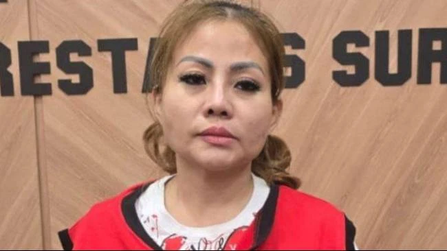 Pakar Hukum Bicara Peluang Akumulasi Hukuman untuk Jan Hwa Diana